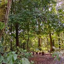 botanical garden 