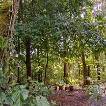 botanical garden 
