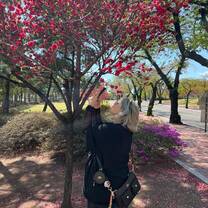 Lost in a flower dream~