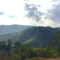 Kabale