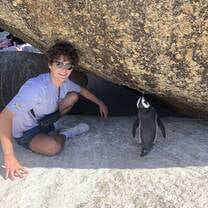 Hanging with the penguins at Boulder's Beach