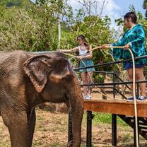 Elephant sanctuary