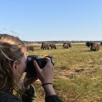 Chobe National Park!