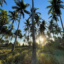 Patoyo Island