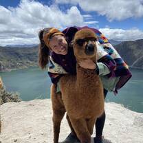 ALPACA