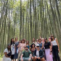 Bamboo forest!