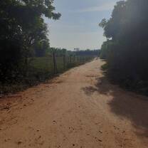 A walking trail at Sadhana Forest
