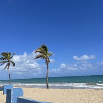 A beach near the community garden 