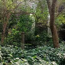 Sadhana Forest 