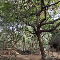 A small part of Sadhana