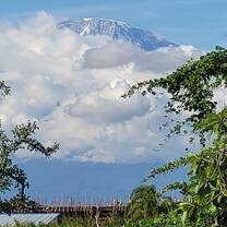 Mt Kilimanjaro 