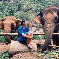 Elephant experience 