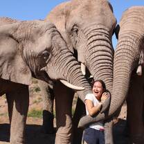 Elephant Walk, Garden Route