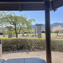 The view from the gazebo behind the university.