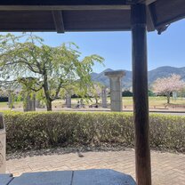 The view from the gazebo behind the university.