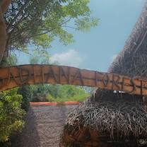 The Entrance 