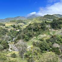 Coffee Farm View