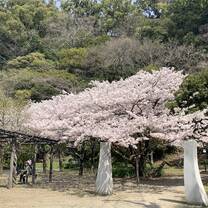 Cherry Blossom Season 2