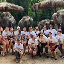 Elephant Sanctuary 