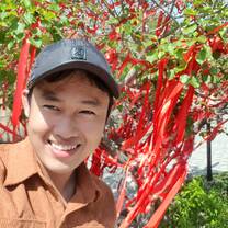 phan nam anh