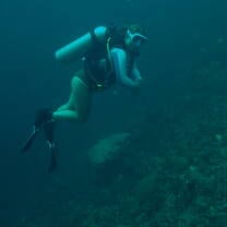 Diving
