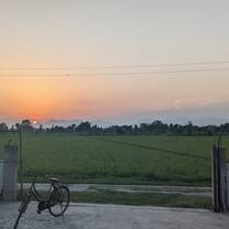 Daily! sunset