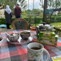 my host family's garden 