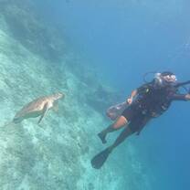 Dive against debris