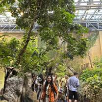 Indoor forest 🍀