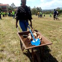 TREE PLANTING