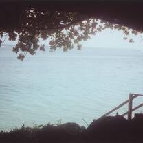 Beach fale