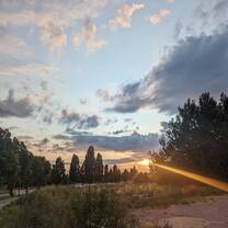walks home 