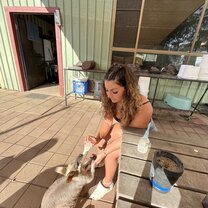 Feeding the wallabies 