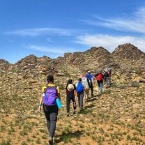 hiking the distance to monitor argali sheep and ibex