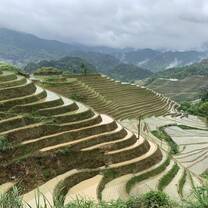 Longsheng Terraced Rice Fields