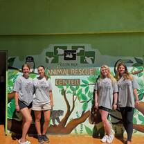 At the Sanctuary 
