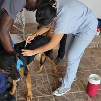 giving vaccines with Sean and Dr.Cole
