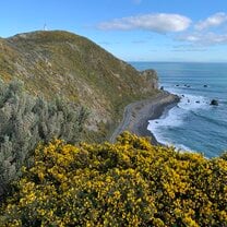 Pencarrow Lighthouse