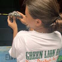 Turtles from sanctuary