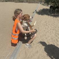 Playing with the lovely dog Rolex