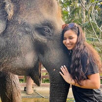 Elephant in Bali, Indonesia😊