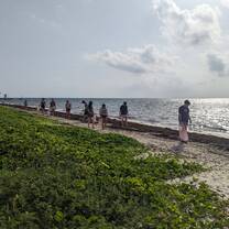 Beach Clean at Puerto Morelos