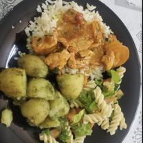 An example of food on the trip: this meal consisted of rice, chicken, potatoes, and pasta salad