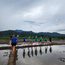 Visiting the rice paddies