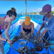 coral restoration, ready to bring the spiders underwater in our coral garden 