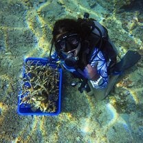 coral restoration 🤍