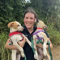 holding the dogs