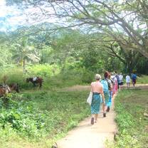 Group tour to the waterfalls