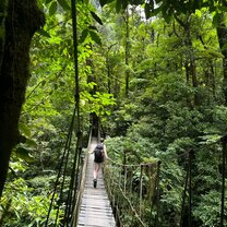 El Tigre Waterfalls rope swing