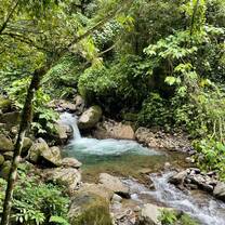 A river in a local farm that we swam in often